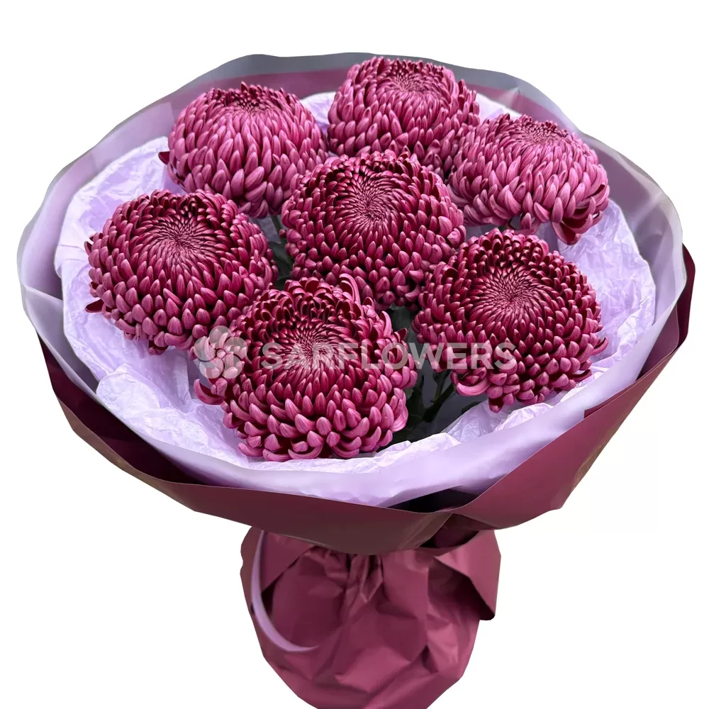 ��������� �� �������� ����������� ��������� ������