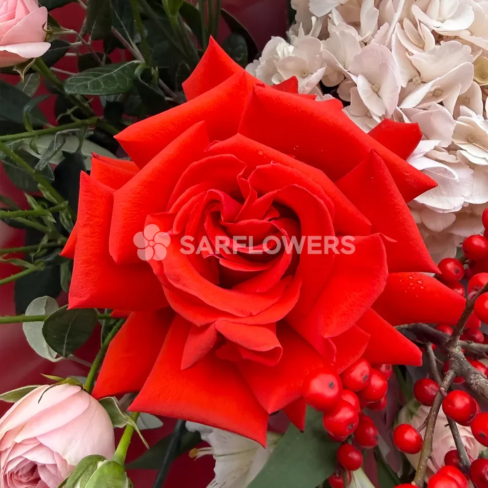 ����� �� �������� � ���������� ���, ���������, ��������