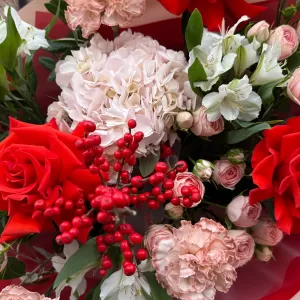 ����� �� �������� � ���������� ���, ���������, ��������