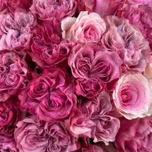 ����� �� 45 ����������� ���