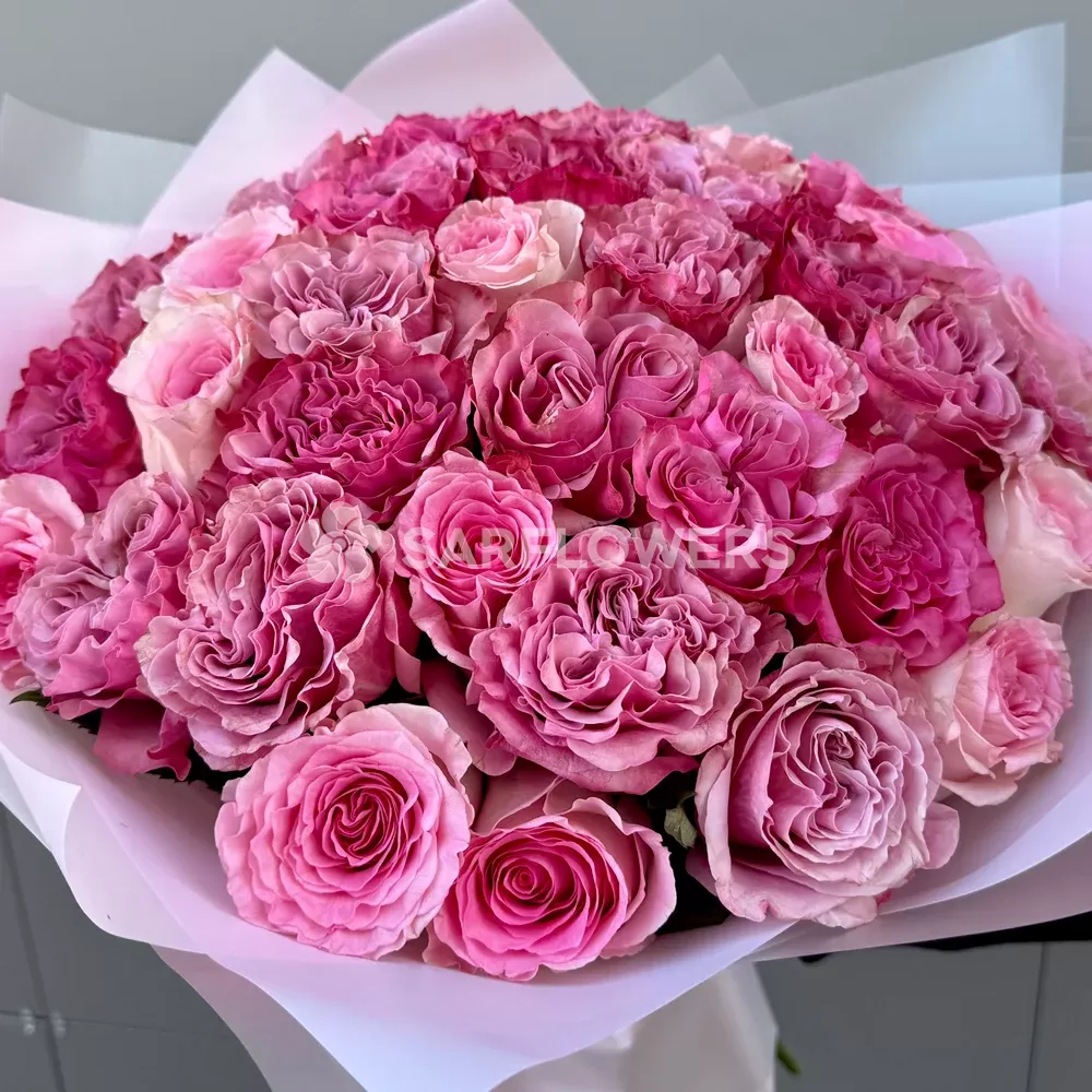 ����� �� 45 ����������� ���