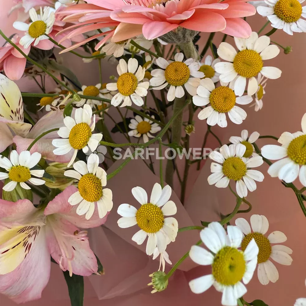 ����� � ���������, �������������, ��������� � �����