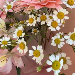 ����� � ���������, �������������, ��������� � �����