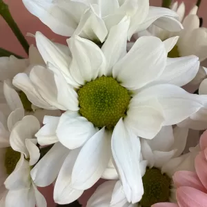 ����� � ���������, �������������, ��������� � �����