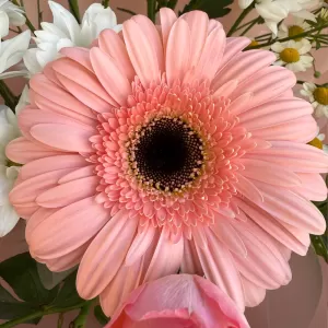 ����� � ���������, �������������, ��������� � �����