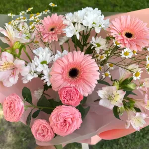 ����� � ���������, �������������, ��������� � �����