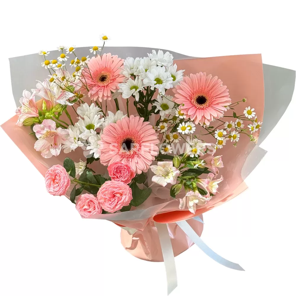 ����� � ���������, �������������, ��������� � �����