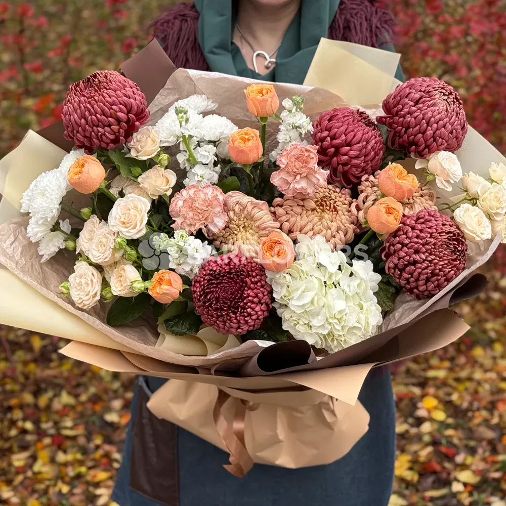 ����� � ������������ ����� � ������, ������, ��������� � ���������