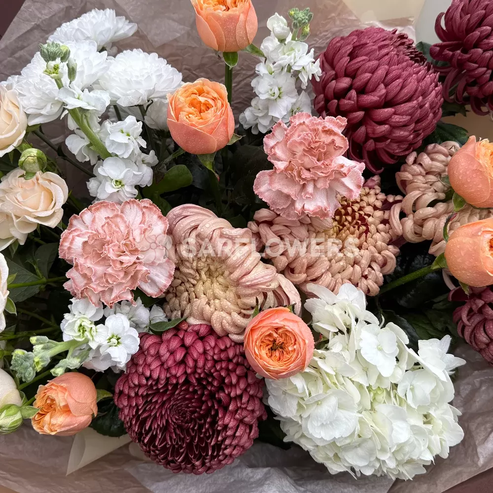 ����� � ������������ ����� � ������, ������, ��������� � ���������