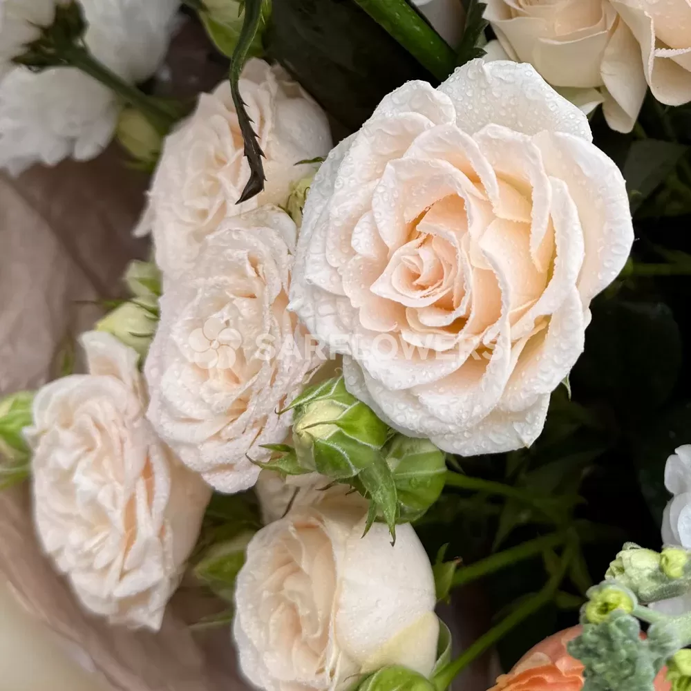 ����� � ������������ ����� � ������, ������, ��������� � ���������