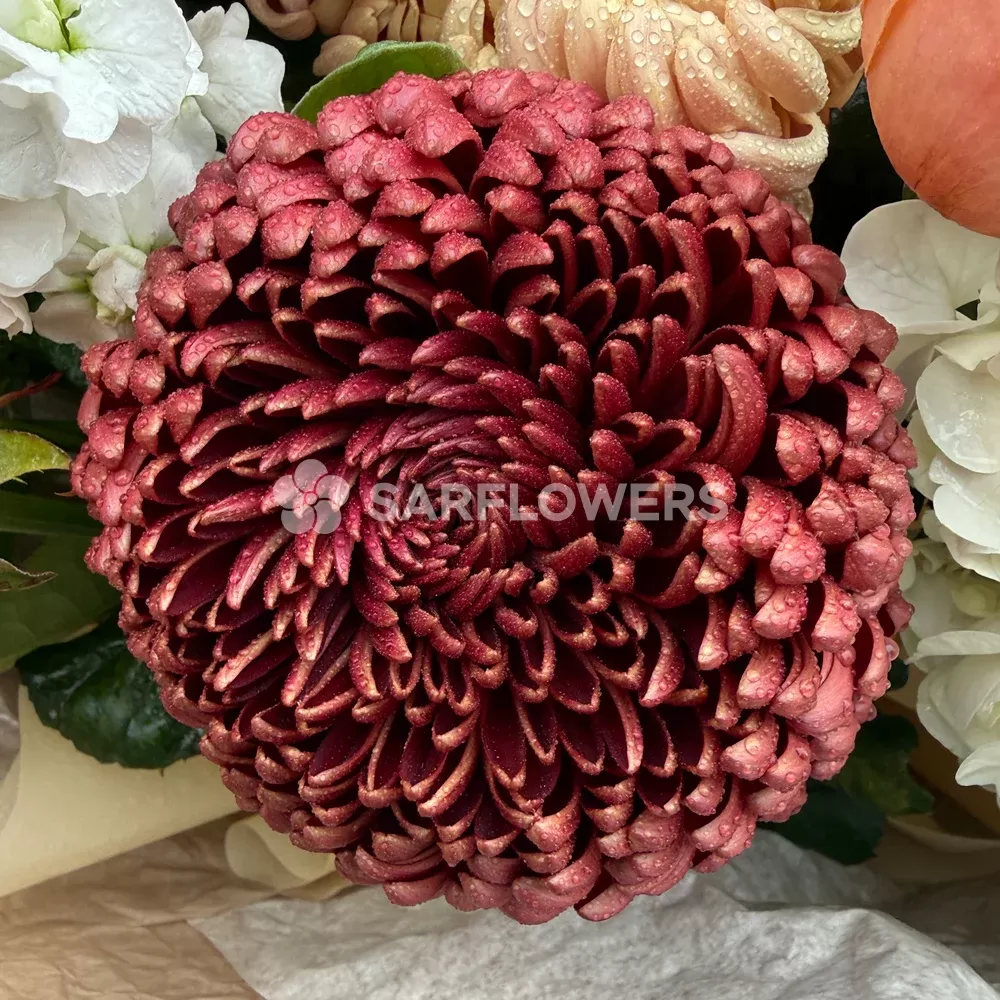 ����� � ������������ ����� � ������, ������, ��������� � ���������