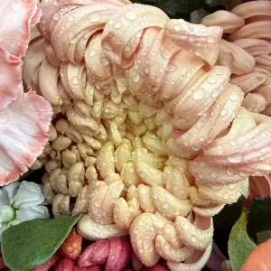 ����� � ������������ ����� � ������, ������, ��������� � ���������