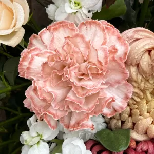 ����� � ������������ ����� � ������, ������, ��������� � ���������