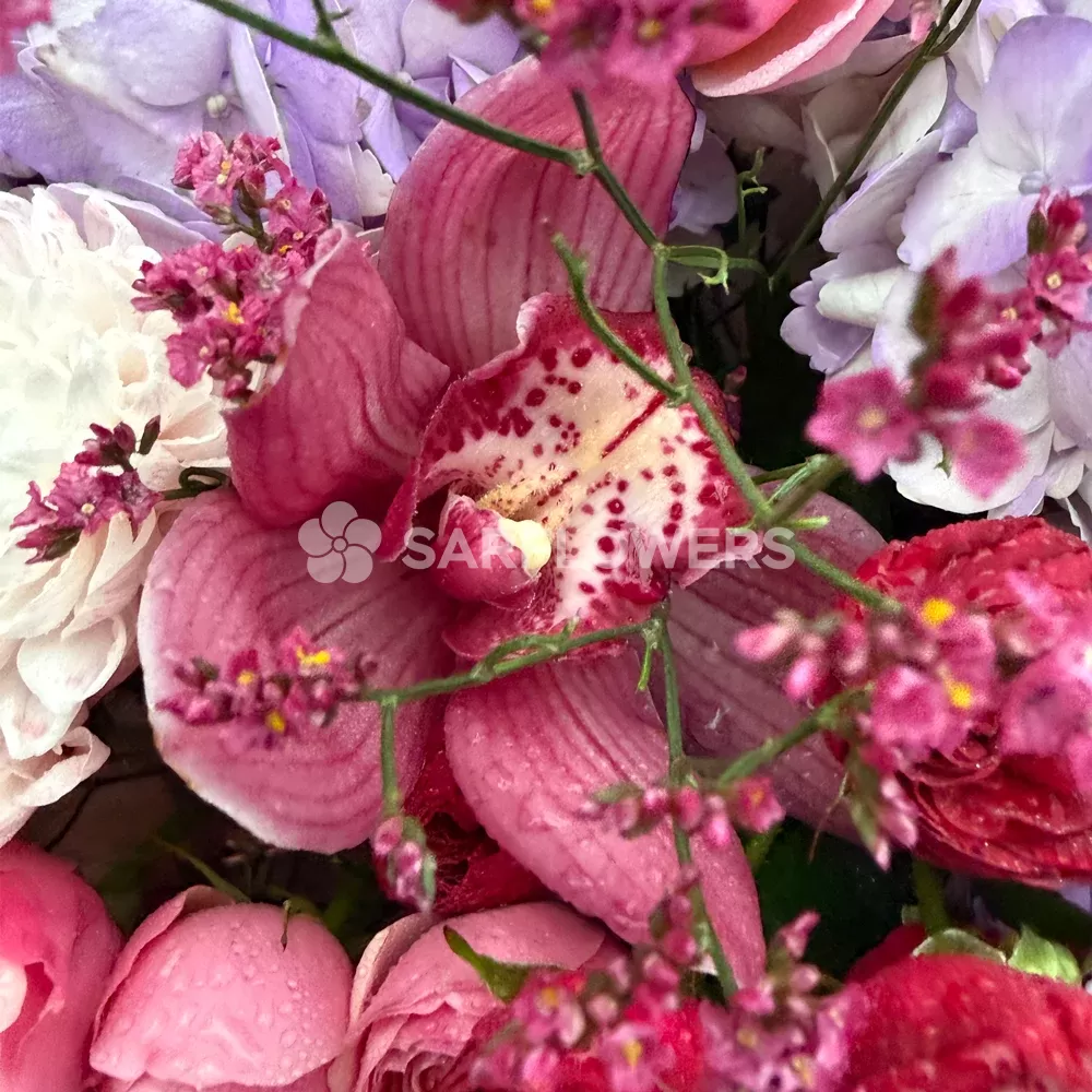 ����� �� ���������, �������, �������� ���