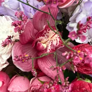 ����� �� ���������, �������, �������� ���