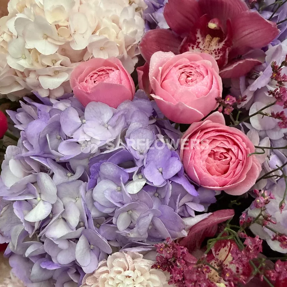 ����� �� ���������, �������, �������� ���