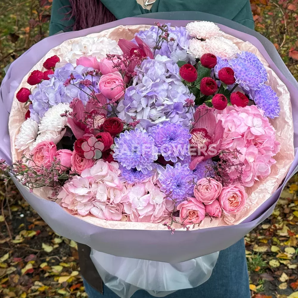 ����� �� ���������, �������, �������� ���