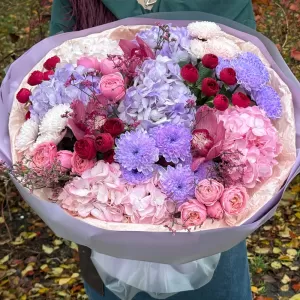 ����� �� ���������, �������, �������� ���