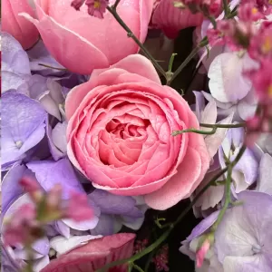 ����� �� ���������, �������, �������� ���