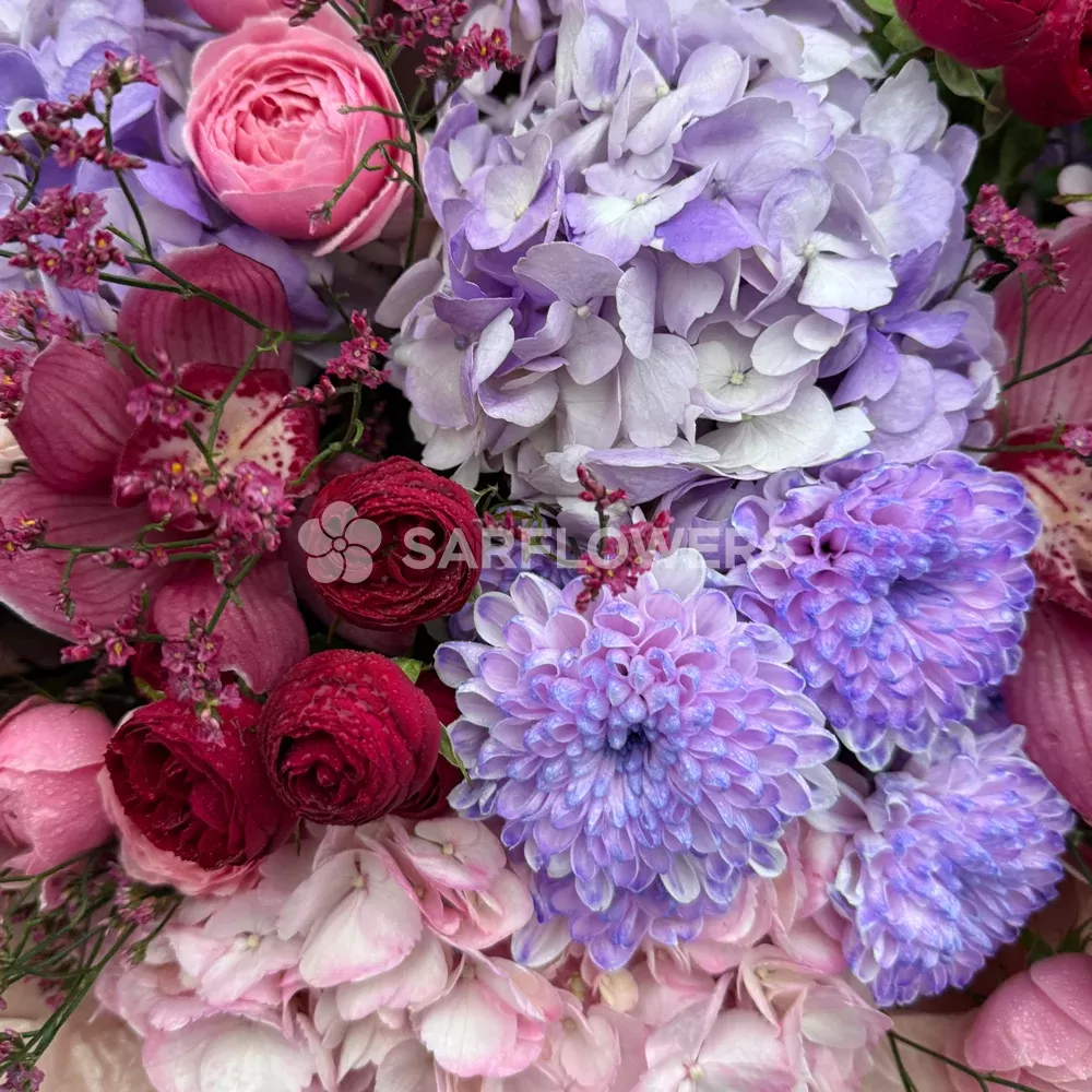 ����� �� ���������, �������, �������� ���