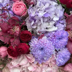 ����� �� ���������, �������, �������� ���