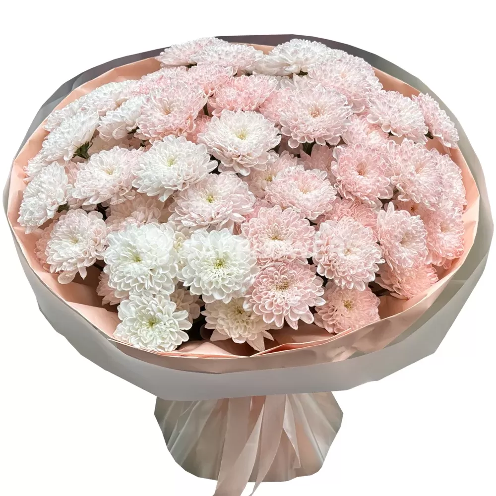 ����� �� 13 ������ �������� ���������