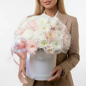 ������ �������� ���������� � ���������