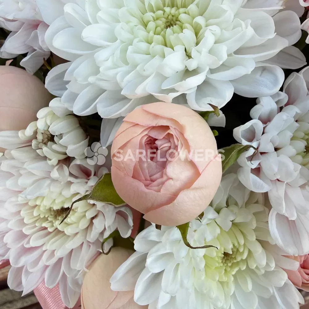 �������� ����������� ���� � ���������� � ���������