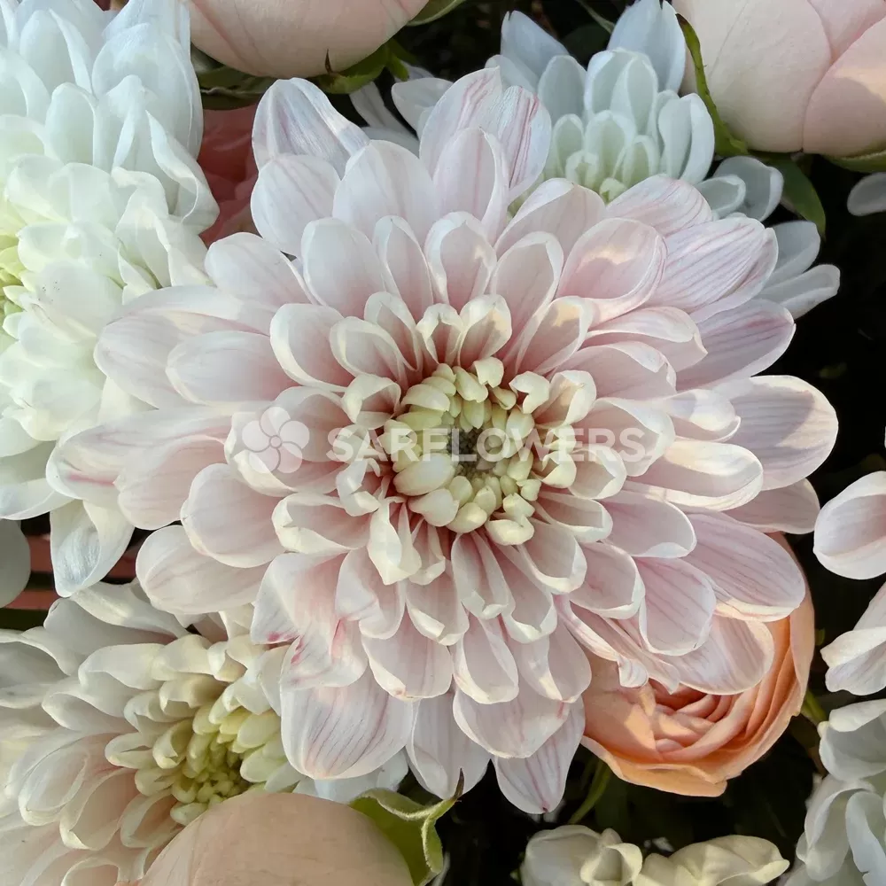 �������� ����������� ���� � ���������� � ���������