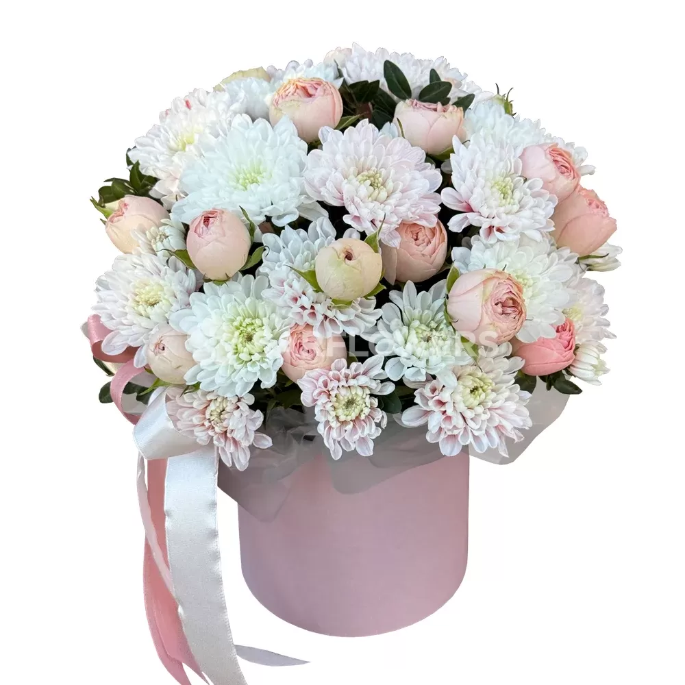 �������� ����������� ���� � ���������� � ���������