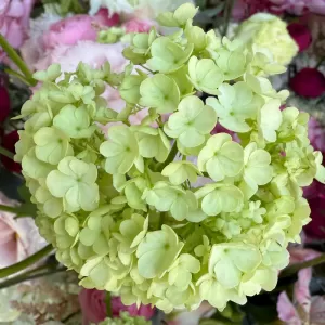    465