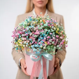 ���� ���������� �� ������������ ���������