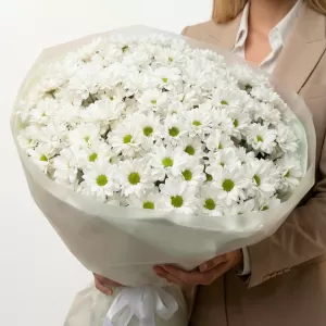 ������� ����� ������� �� �������� ���������� �������