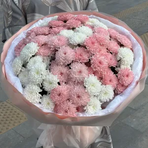����� �� 17 �������� ���������