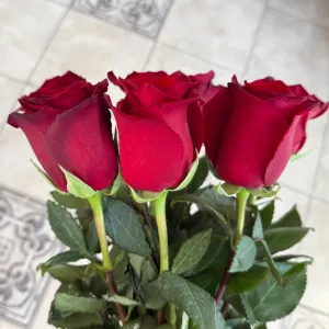 ����� �� 9 ������� ���
