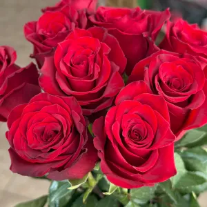 ����� �� 9 ������� ���