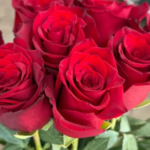 ����� �� 9 ������� ���