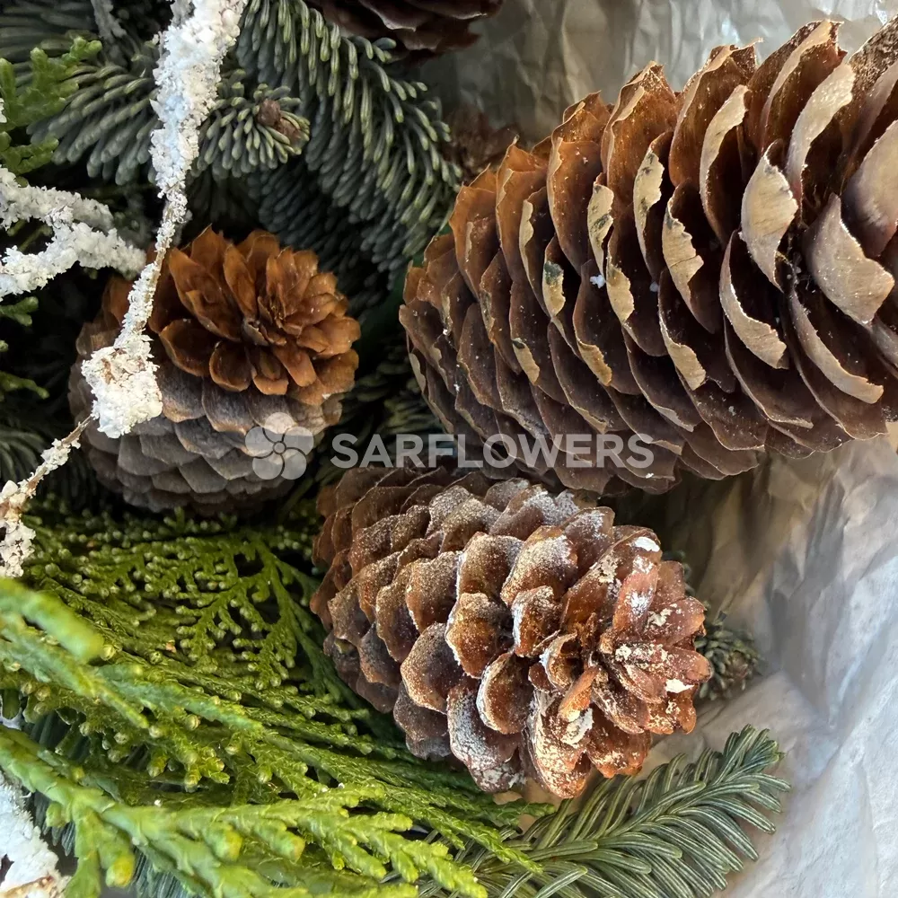 ������ ���������� �����