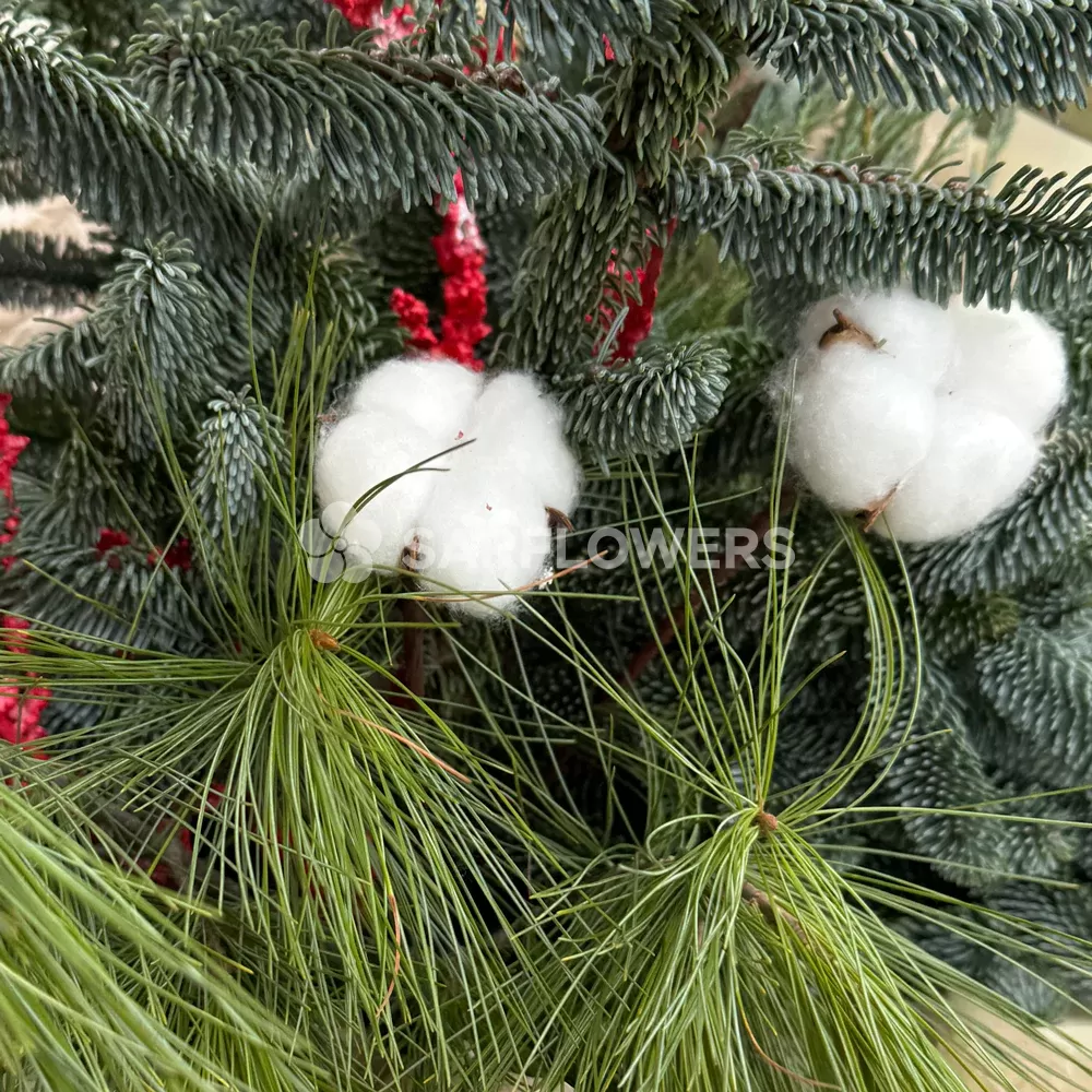 ���������� ����� � ����� � �������