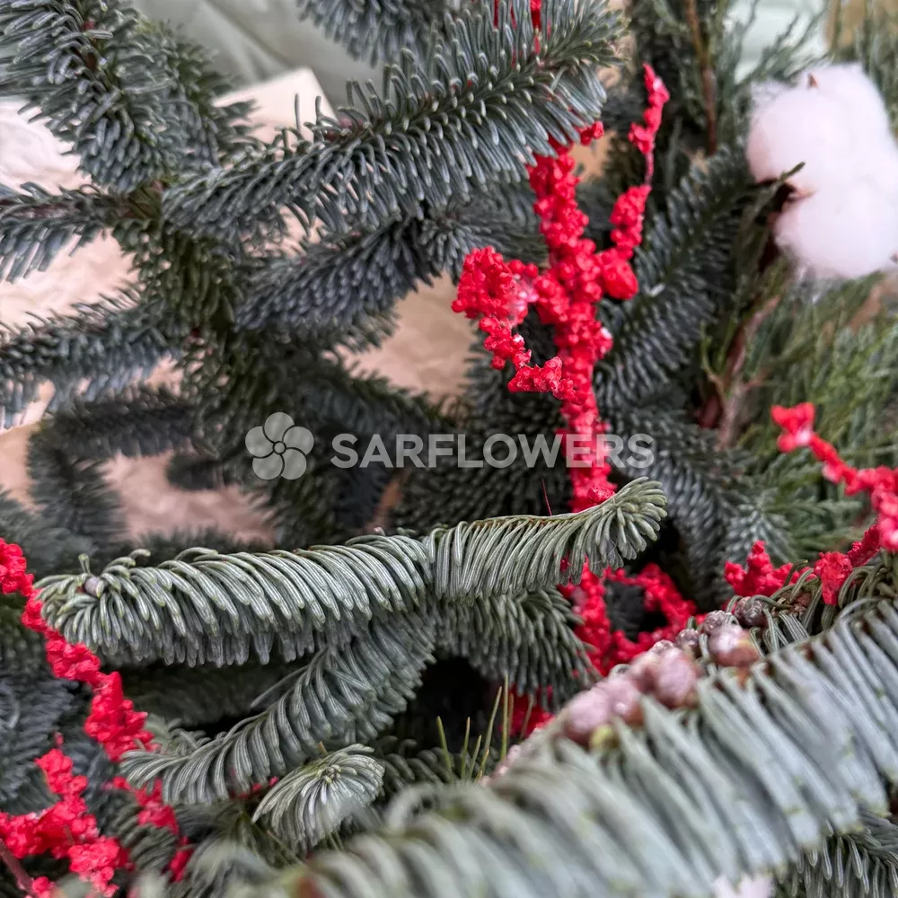 ���������� ����� � ����� � �������