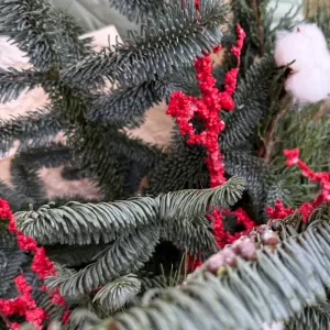 ���������� ����� � ����� � �������