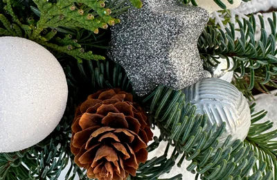 ���������� ����������