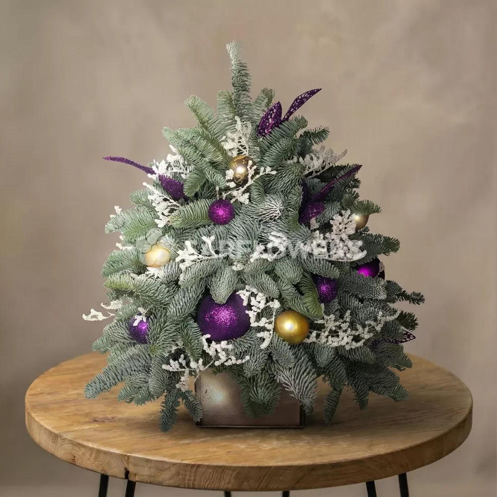 ���������� ������