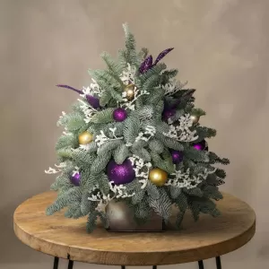 ���������� ������