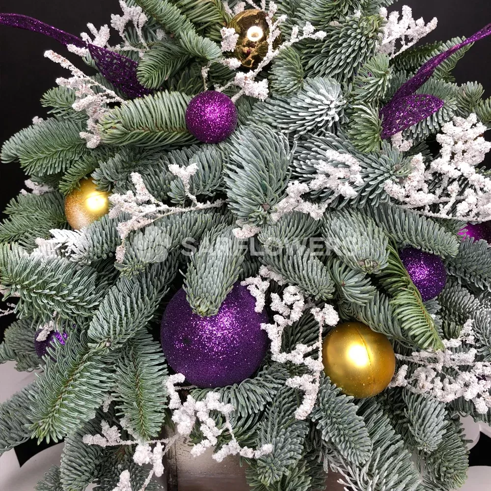 ���������� ������