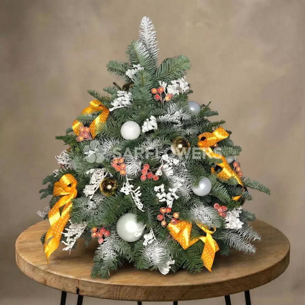 ���������� ������