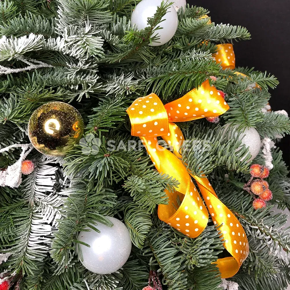 ���������� ������