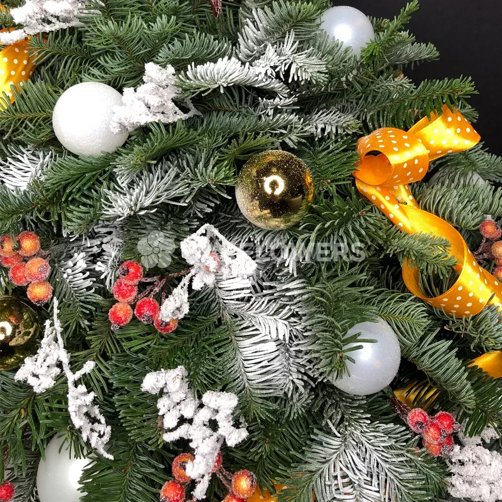 ���������� ������