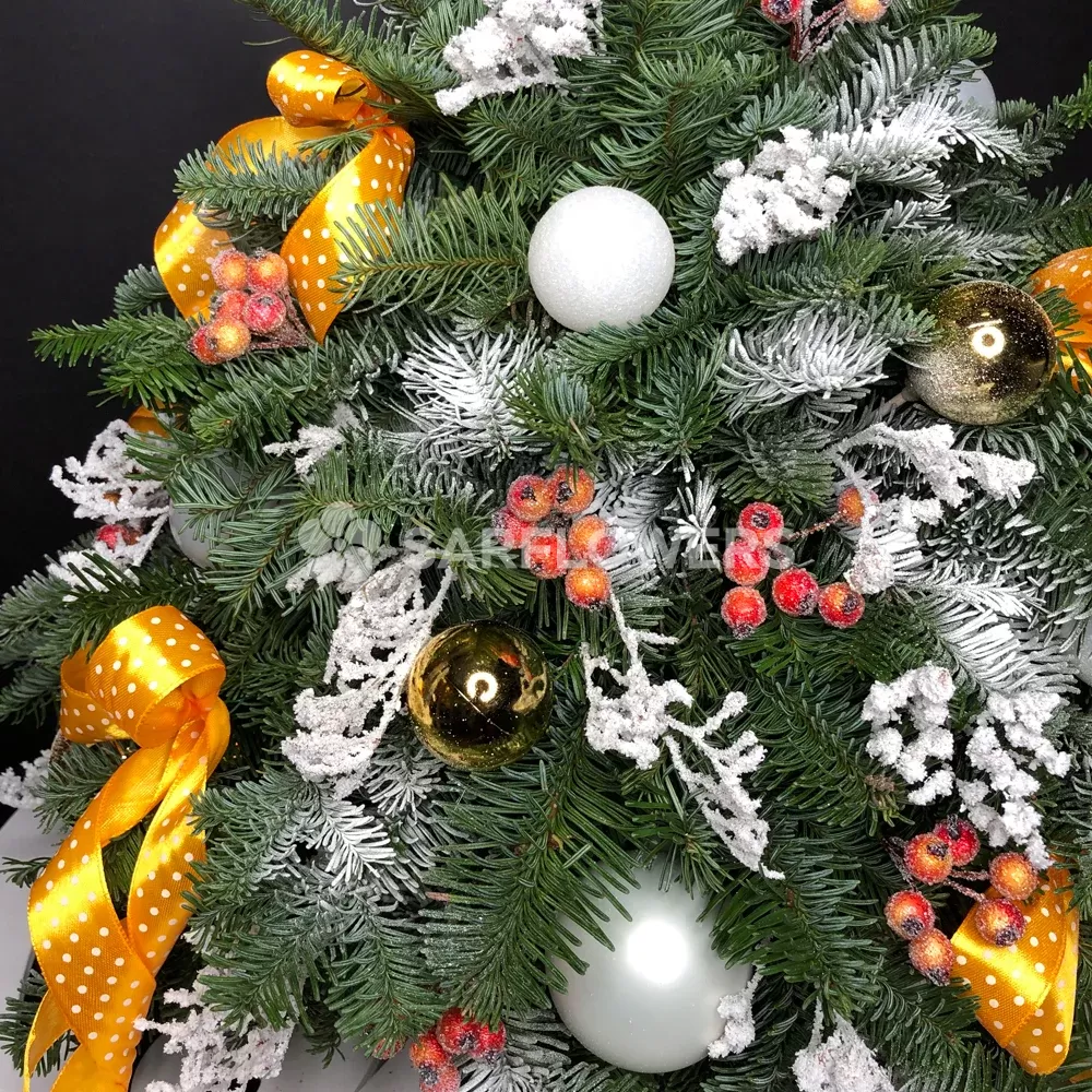 ���������� ������