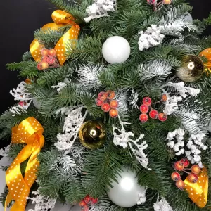 ���������� ������